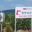 황토농원마트