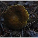 수원-0728 이미지