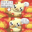 씨펙스(주) - 용인시 처인구 | 시험 주간 후기와 피드백