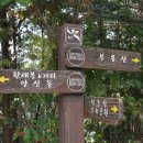 한새봉농업생태공원 이미지