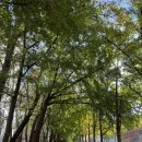 위례성대로22길 | [서울 오금동] 프로퍼커피바 후기｜파운드 케이크 스콘 빨미까레 맛집 송파카페 추천 Proper coffee bar