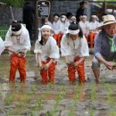 윤성호농장 이미지