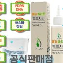 헬시루카
