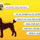 뇨상태판별/단백뇨/혈뇨/혈색소뇨 이미지