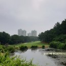 경원건설(주) | 2025년 KGA GS칼텍스 매경오픈~~남서울CC회원권시세 에 대해서 알려드릴께요~