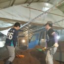 닭사랑농장 이미지