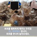새부전약국 이미지