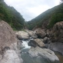 화님마트 이미지