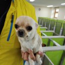 마도공단로 이미지