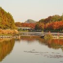 죽림의 고장 담양(여행기) 이미지