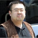 김복안 Daum카페