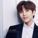 자비시 (JAVISI) 이미지