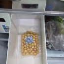 운마 | [건강간식] 풍미 가득한 그린홀릭 구운마카다미아 활용기 및 시식 후기