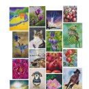 컬러 쌓는 한국화 이미지