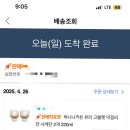 막걸리잔 사케잔 가볍고 투명해서 이쁜조합 내돈내산후기
