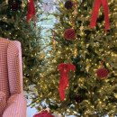 순금농장 | 대구 근교 크리스마스 동화 같은 분위기 '성주 리베볼' 이용 꿀팁 포토존 총정리