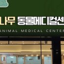소나무동물메디컬 센터 이미지
