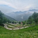 속리산파크호텔 네이버블로그