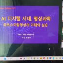 [웰니스 컬리지] 1주차 후기 / HST 명상, ACT 수용전념치료,웰니스프로그램 기획&amp;개발