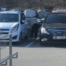 인혁농장 | [대구, 칠곡]오리 투어