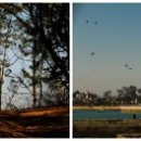 용동목장 이미지