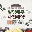 대관령절임배추