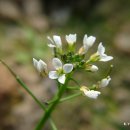 효자농장 이미지