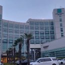 [솔직리뷰] 거제 숙소 와현해수욕장이 보이는 4성급 &#39;리베라 호텔&#39; 후기