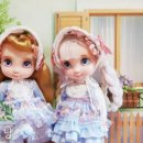 묘냥묘냥 이미지