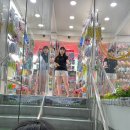 아이아이 미사점 | 8월ㅏㅏ