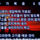 보리떡다섯개 이미지