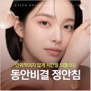 정안개발