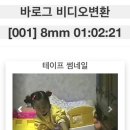 [8mm 비디오 테이프 변환 후기] 옛날 영상 디지털화! 비용 &amp; 과정 총정리 | 내돈내산