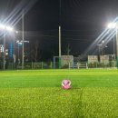신화풋살축구장
