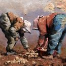 재스민향기 이미지