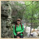 유명산자연휴양림 이미지