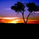 유정상회 이미지