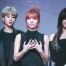 모모라임 이미지