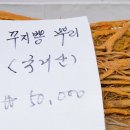 문산인삼건강원