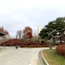 서호공원 이미지