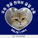 언제나동물병원