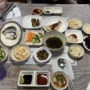 김해 장유 율하 두툼한 회 넘버원회도매횟집 (feat. 방어회) 내돈내산