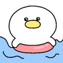 스위밍차일드 - 나주시 그린로 224 | 스위밍차일드