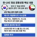 그냥 심심해서요. (19379) 韓-UAE “원전 수출 협력” 이미지