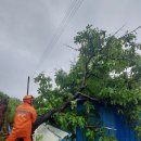 안성면117 이미지