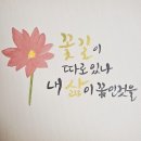 다랑꽃 이미지