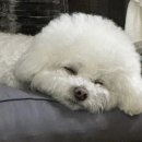 안마산로 이미지