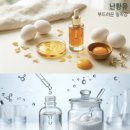 에코드림팜