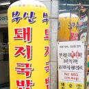 정통밀양돼지국밥 이미지