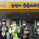 논산시 동물보호센터 이미지